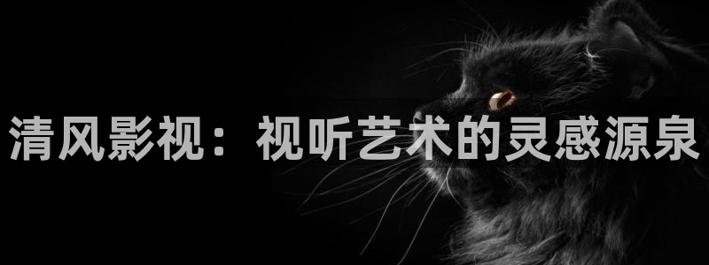 yy6090免费观看青苹果影院